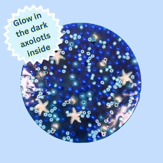 Remeltable Picky Pad - Blue sea axolotl pick pad reusable skin picking dermatillomania anxiety stress reliever